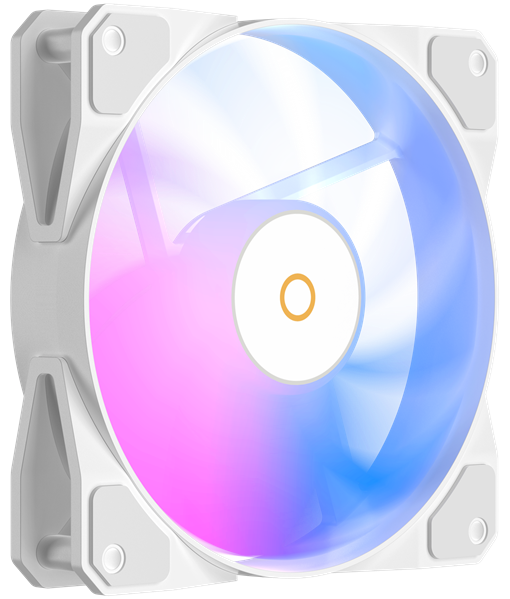 Ocypus