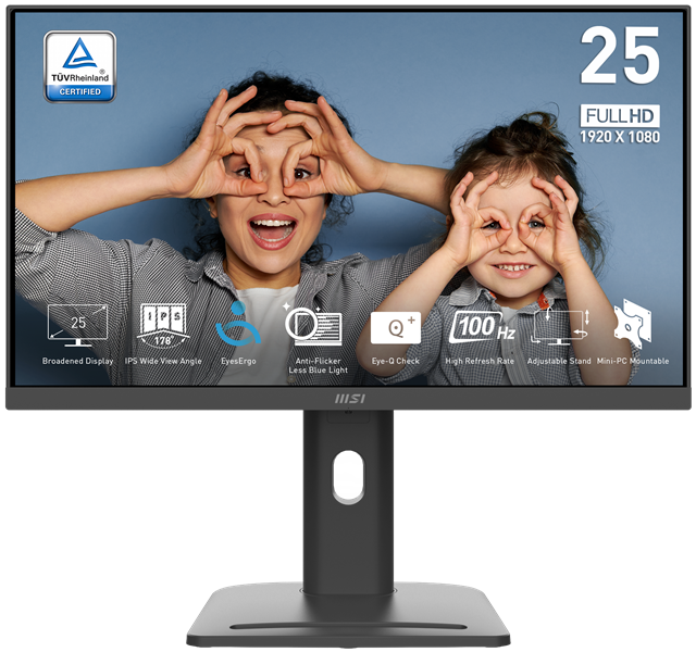 MSI PRO MP253P 24.5" 16:9 FHD(1920x1080) IPS Flat,1ms(MPRT),1000:1,100M:1,300nit,178/178,HDMI 1.4,DP 1.2a,VGA(D-Sub),Tilt,Swivel,Height,Pivot,VESA,100Hz,Black,1y war-ty