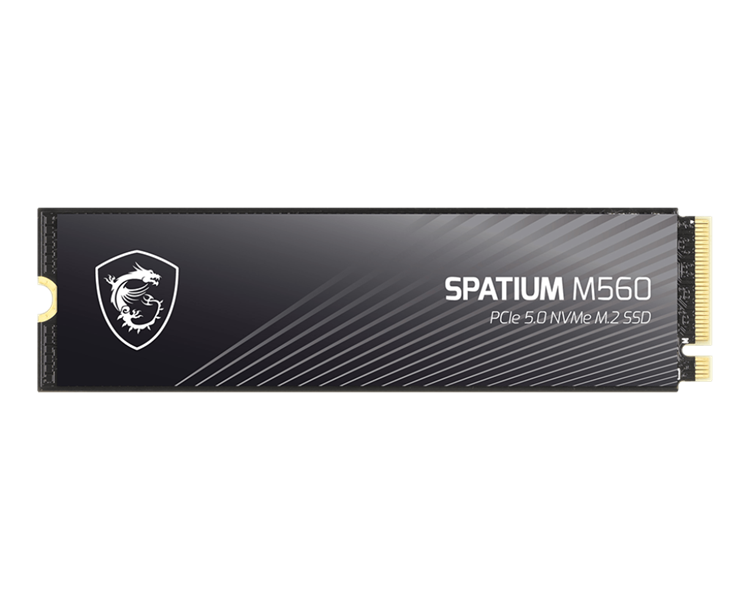 MSI