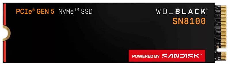 Western Digital