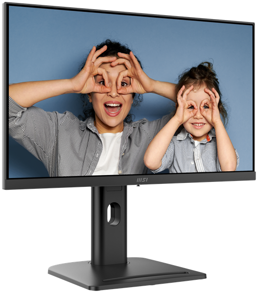 MSI PRO MP253P 24.5" 16:9 FHD(1920x1080) IPS Flat,1ms(MPRT),1000:1,100M:1,300nit,178/178,HDMI 1.4,DP 1.2a,VGA(D-Sub),Tilt,Swivel,Height,Pivot,VESA,100Hz,Black,1y war-ty