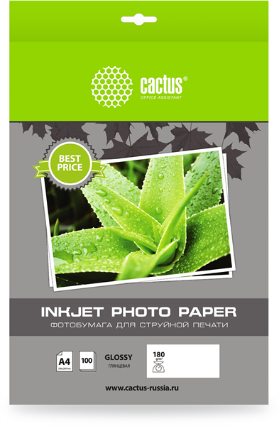 CACTUS